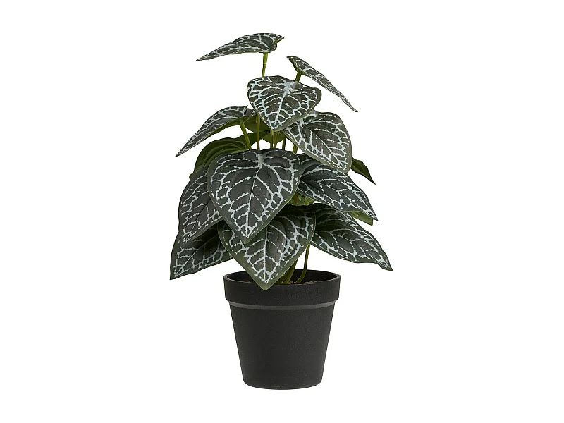 Pianta Artificiale Alexander, Verde, 15x15x33 cm, Seven Design