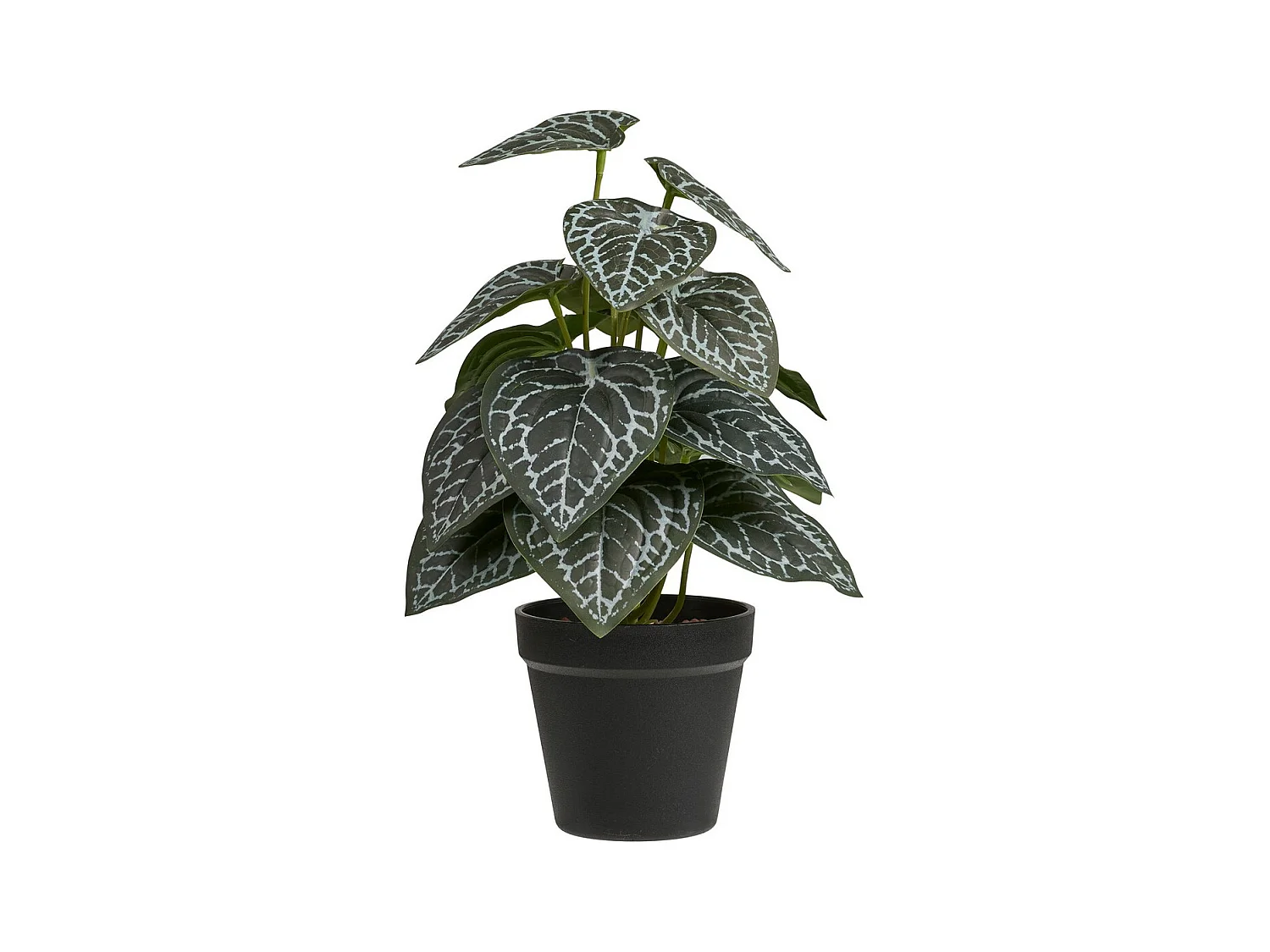 Plante Artificielle Alexander, Vert, 15x15x33 cm, Seven Design