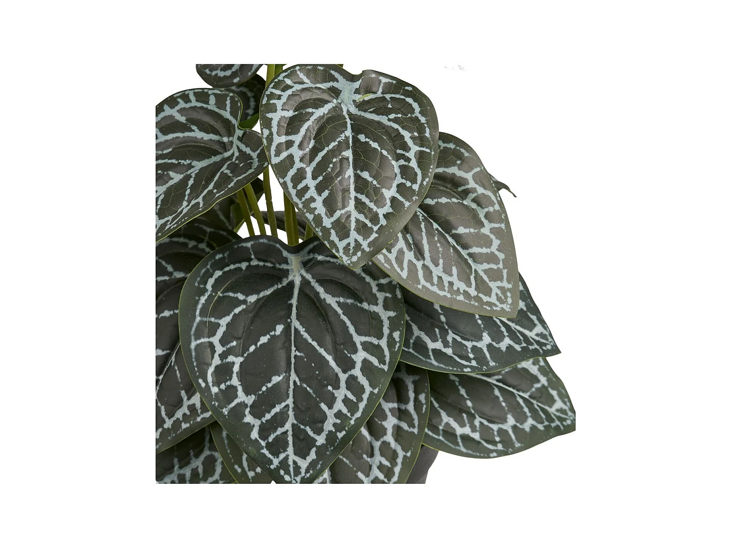 Plante Artificielle Alexander, Vert, 15x15x33 cm, Seven Design