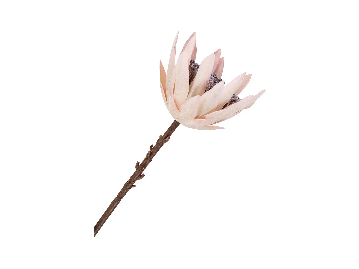 Plante Artificielle Louis, Multicouleur, 10x10x65 cm, Seven Design