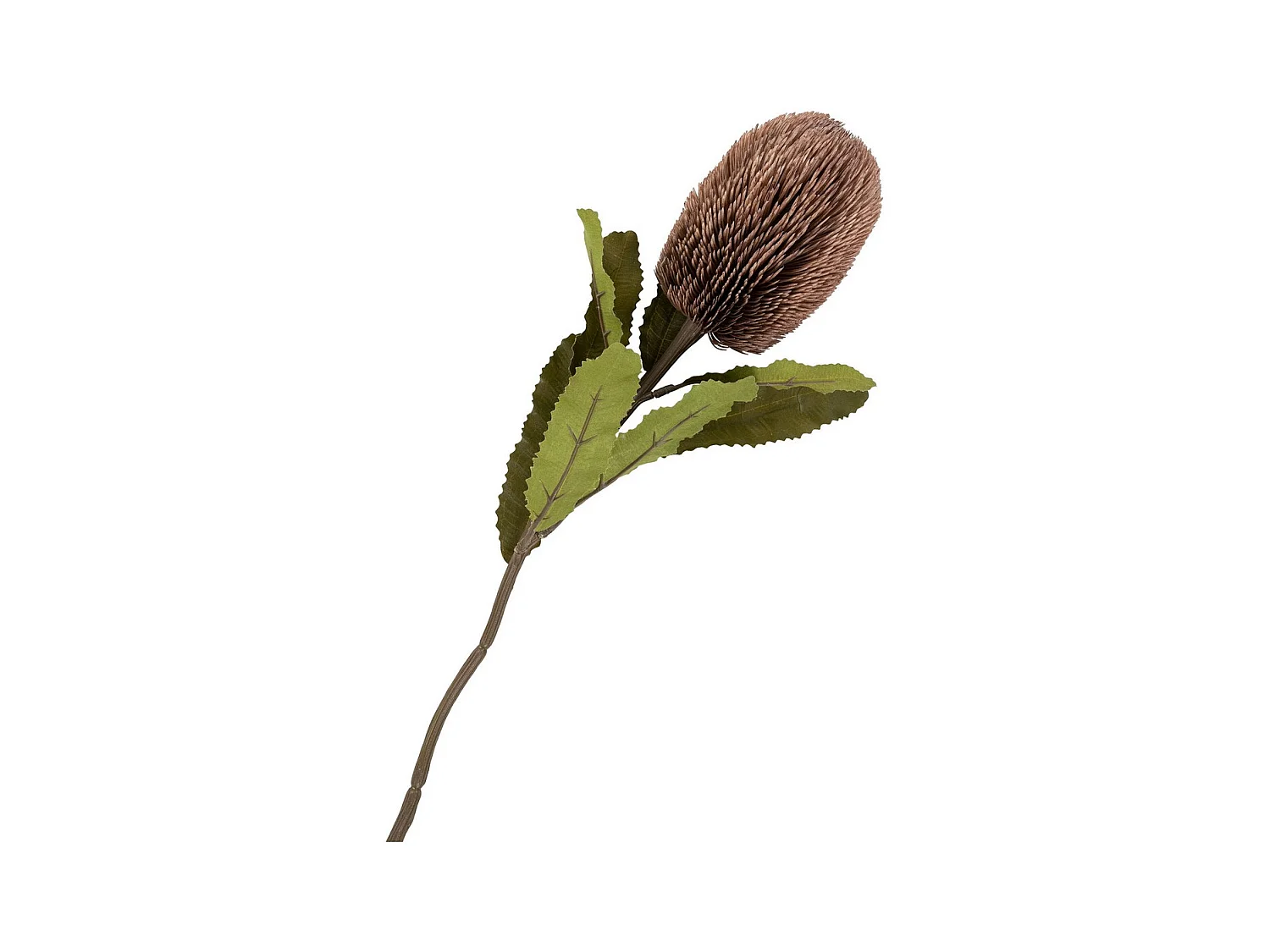 Plante Artificielle Louis, Multicouleur, 10x10x65 cm, Seven Design