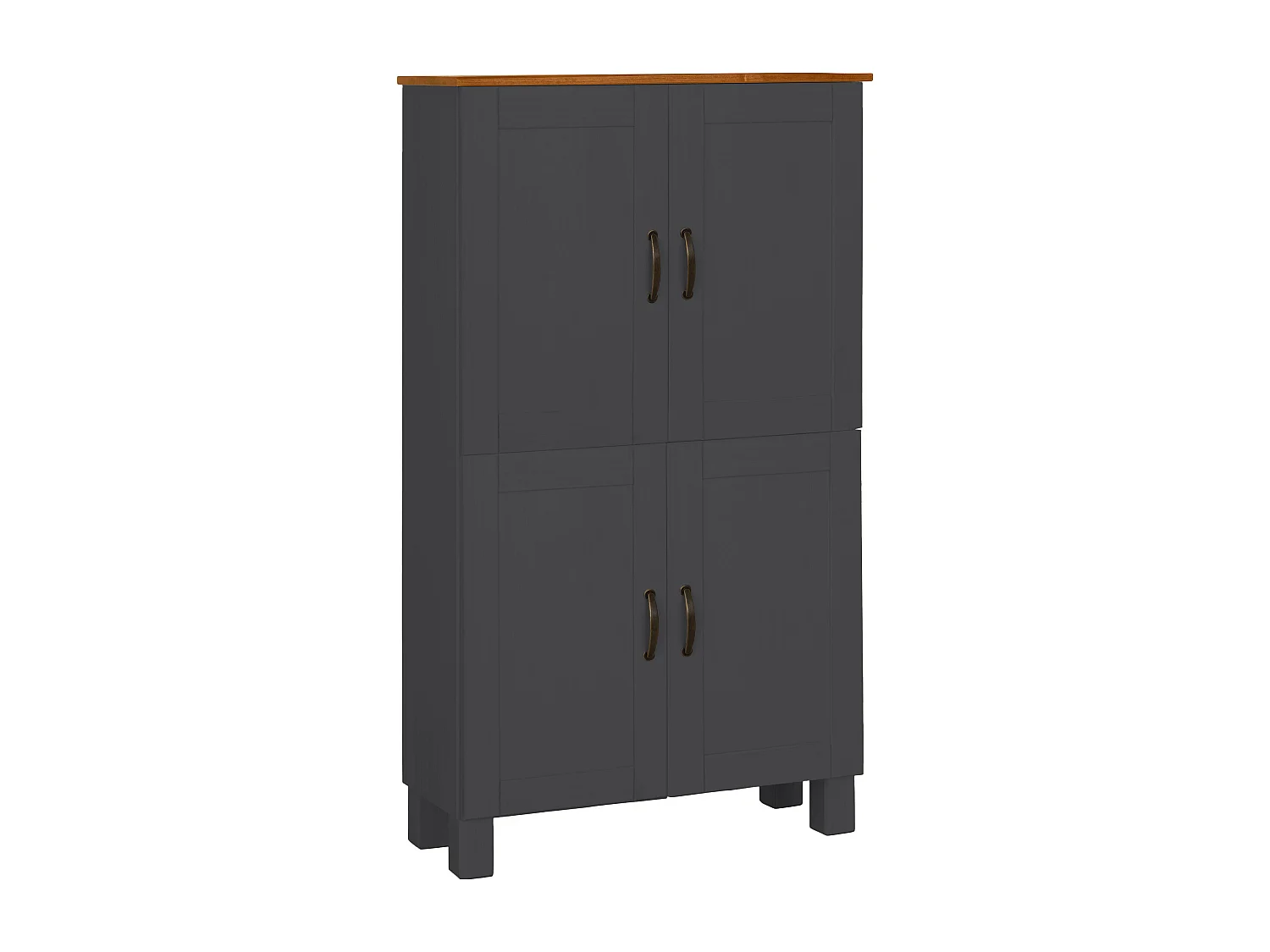 Alby | Meuble de salle de bain avec 4 portes en pin anthracite