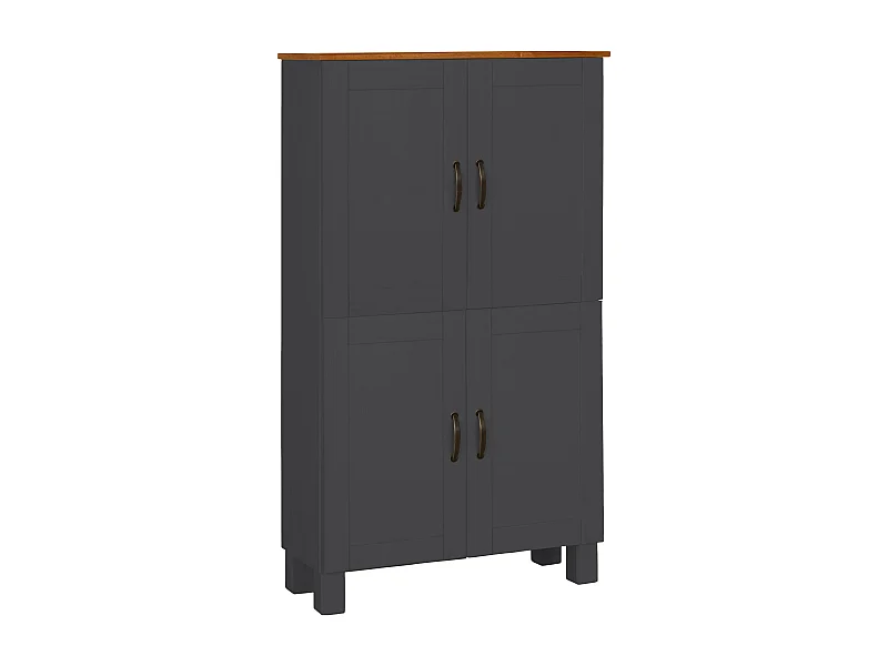 Alby | Meuble de salle de bain avec 4 portes en pin anthracite