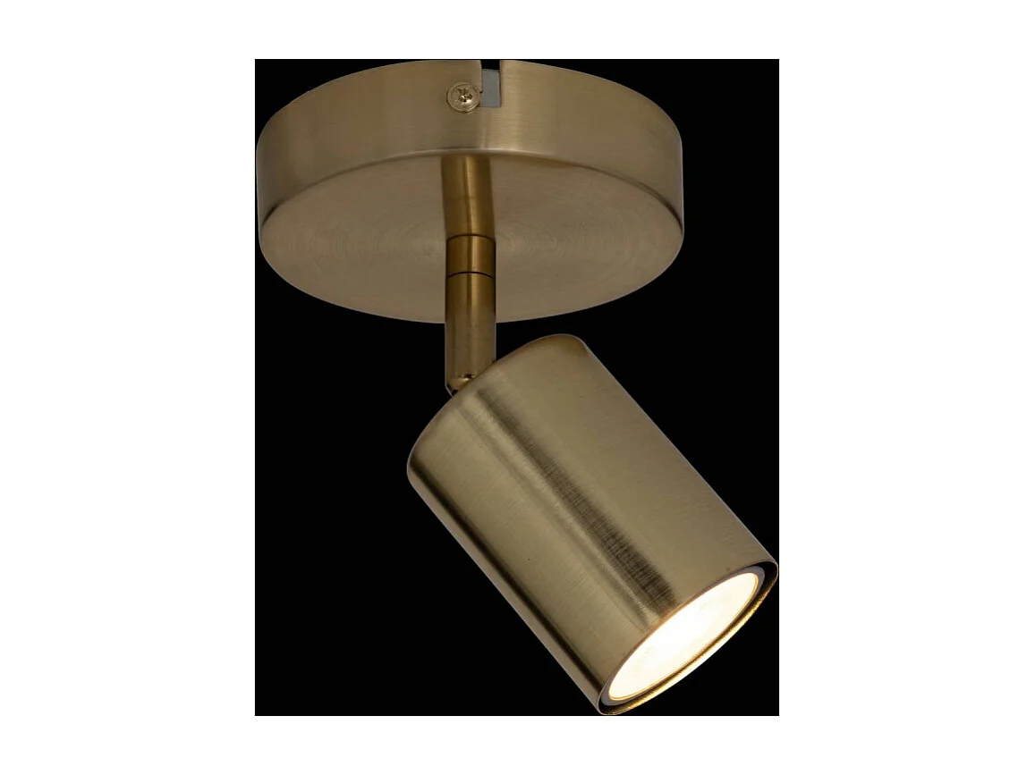 Applique Murale Orientable en Métal "Vico" 14cm Doré