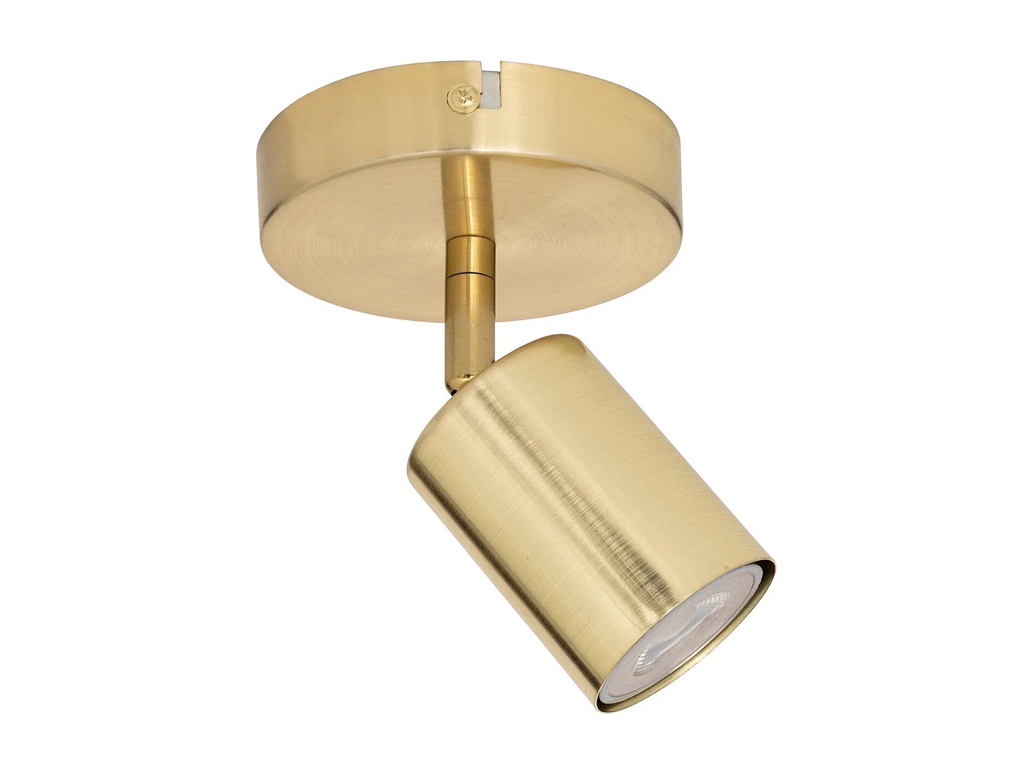 Applique Murale Orientable en Métal "Vico" 14cm Doré