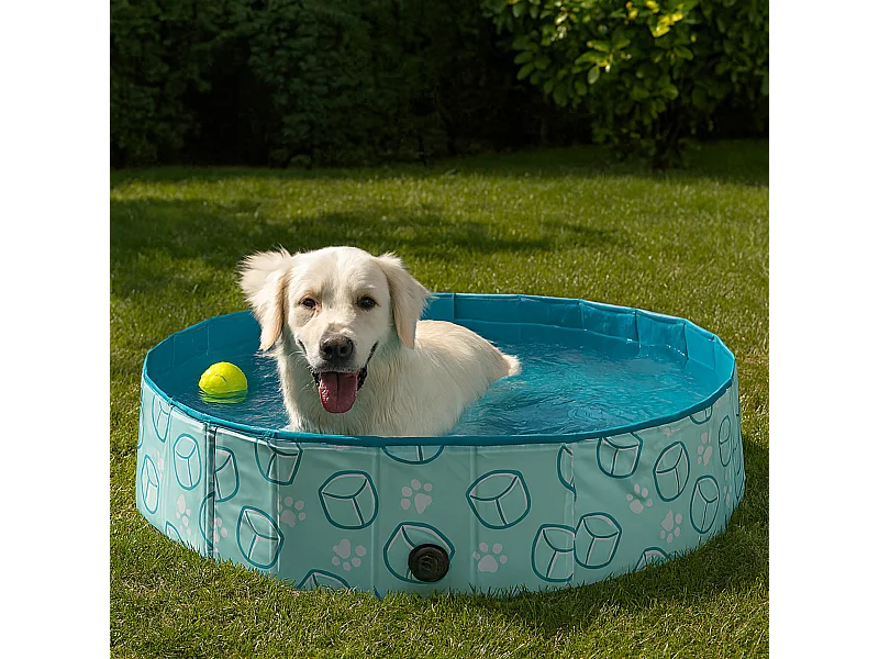 Piscine Pour Chien 120cm, Bleu