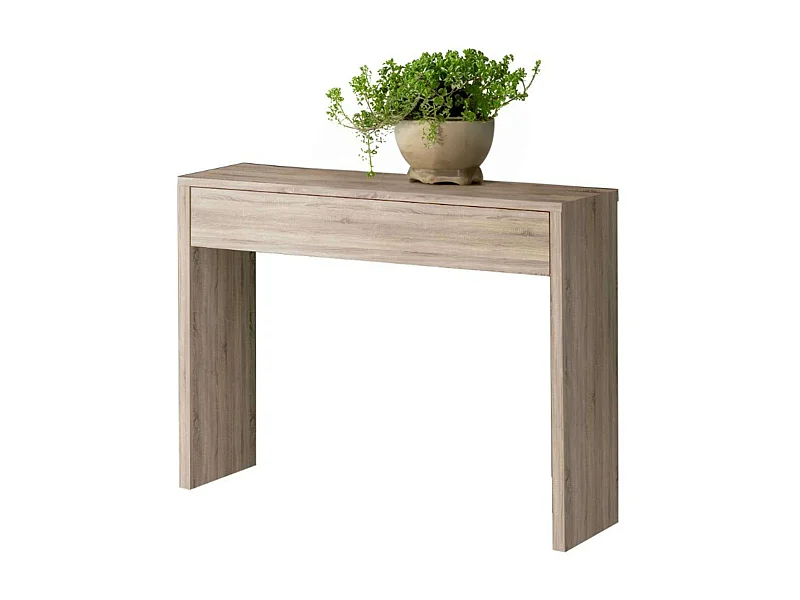 Lupe Cambiran Corredor Entrada 100x76x30 cm