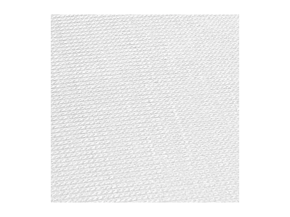 Taie d'oreiller individuelle imperméable anti-acariens Dermis White 75 cm