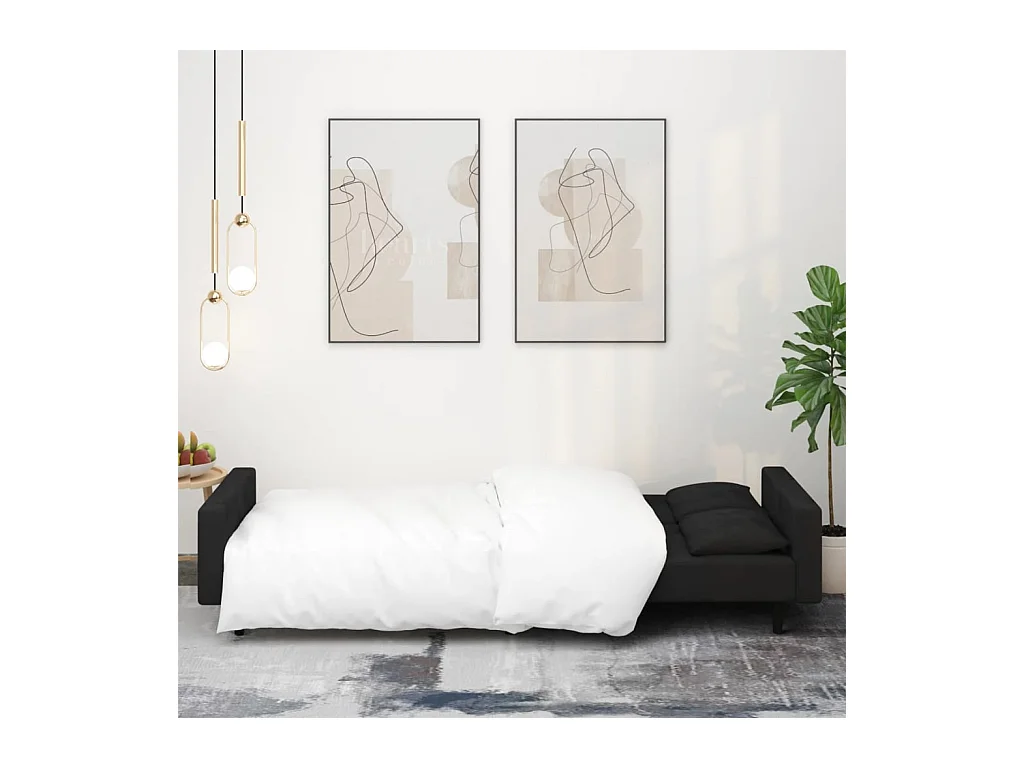 2-zits slaapbank met twee kussens Black Velvet