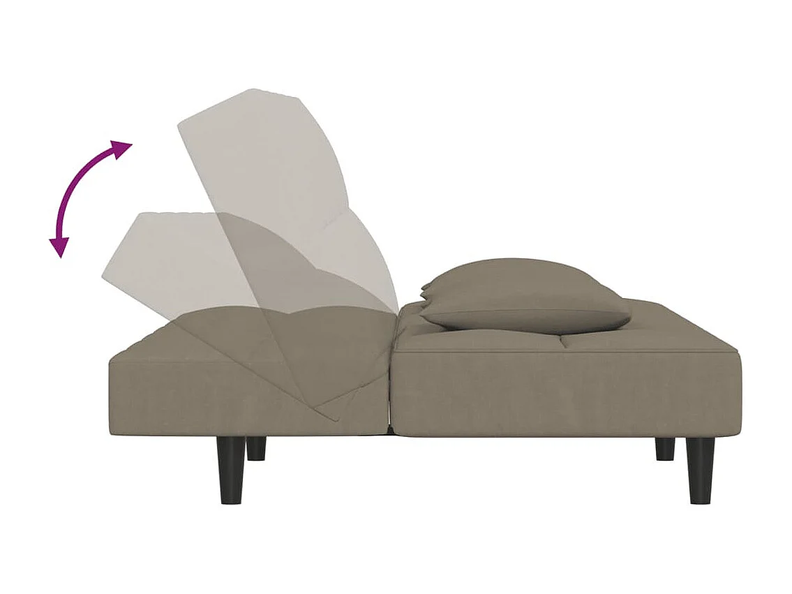 Sofá cama de 2 plazas con dos almohadas Terciopelo Gris Claro