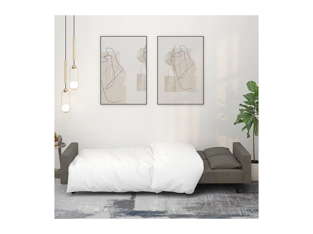 2-zits slaapbank met twee kussens, donkergrijs fluweel