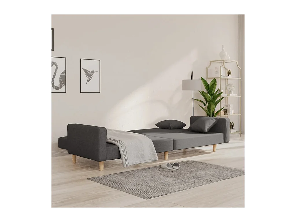 2-zits slaapbank met twee kussens, donkergrijze stof