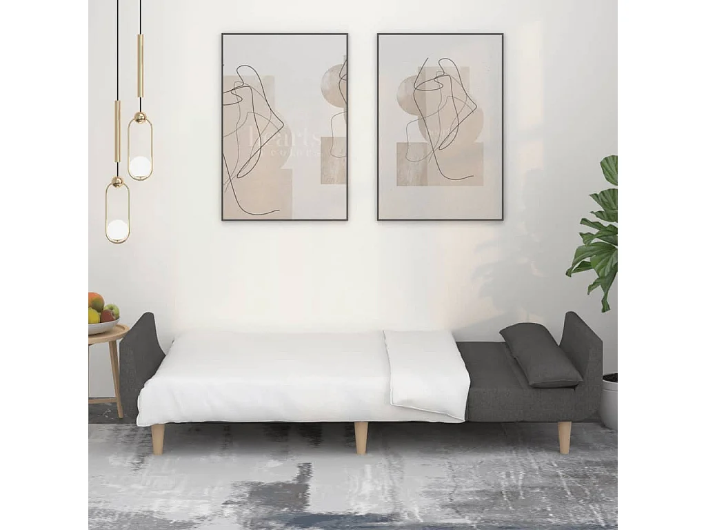 Sofá cama de 2 plazas con dos almohadas en tela gris oscuro