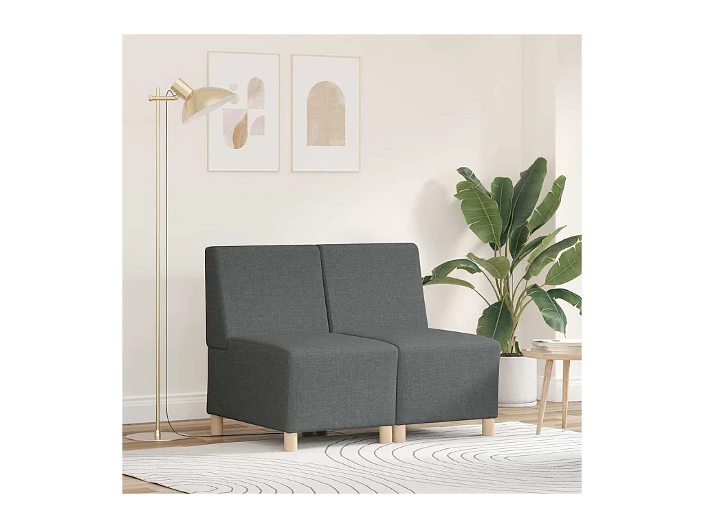Unité de Sofa Modulaire Sans Accoudoirs 2 pcs Gris foncé