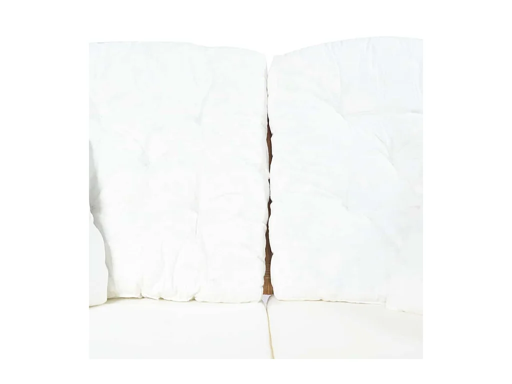 Canapé à 2 places Rotin