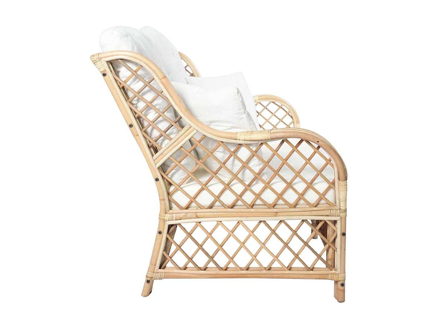 Hek met palen Zilver 0,4 x 10 m Staal