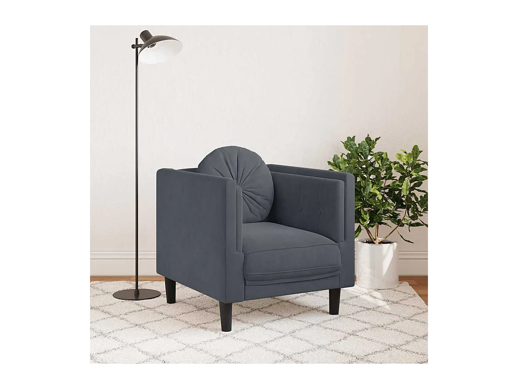 Fauteuil met donkergrijs fluwelen kussen