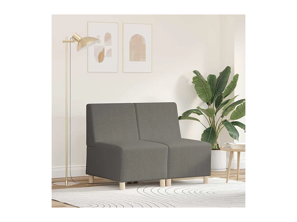 Unité de Sofa Modulaire Sans Accoudoirs 2 pcs Gris clair
