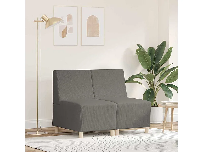 Unité de Sofa Modulaire Sans Accoudoirs 2 pcs Gris clair