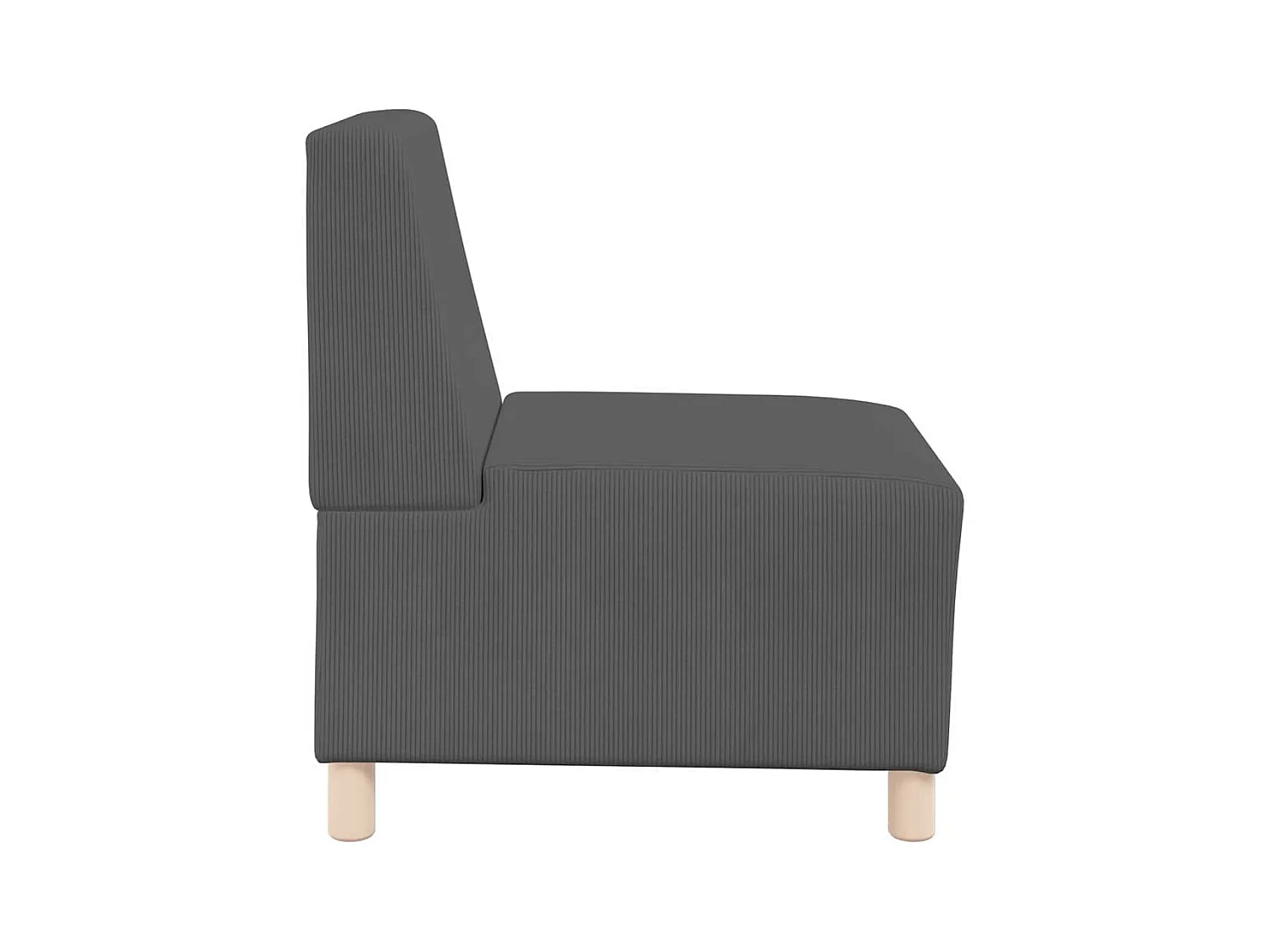 Unité de Sofa Modulaire Sans Accoudoirs 2 pcs Gris foncé