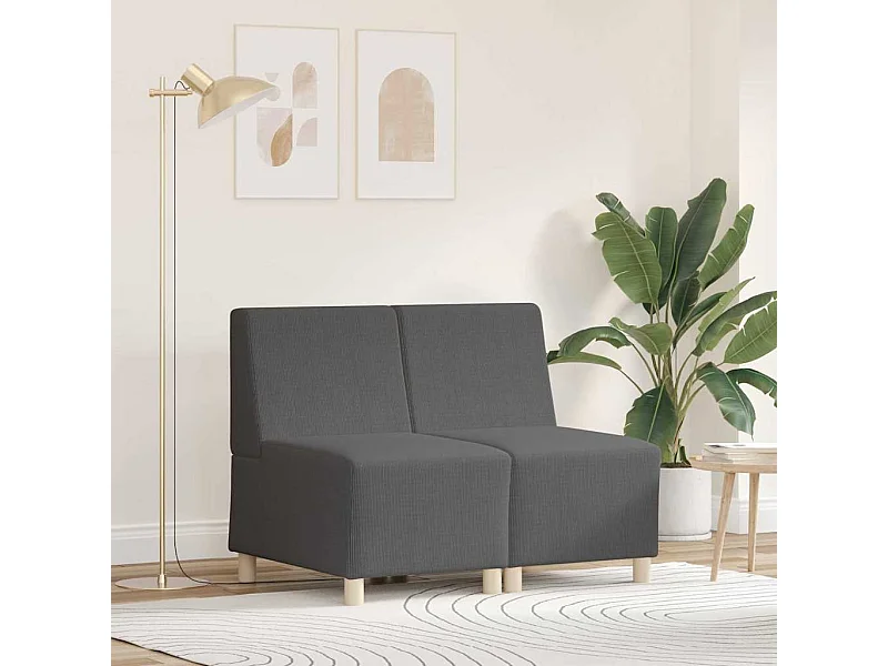 Unité de Sofa Modulaire Sans Accoudoirs 2 pcs Gris foncé