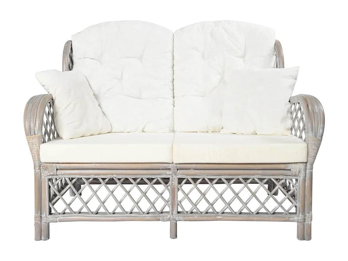 Canapé à 2 places Gris Rotin