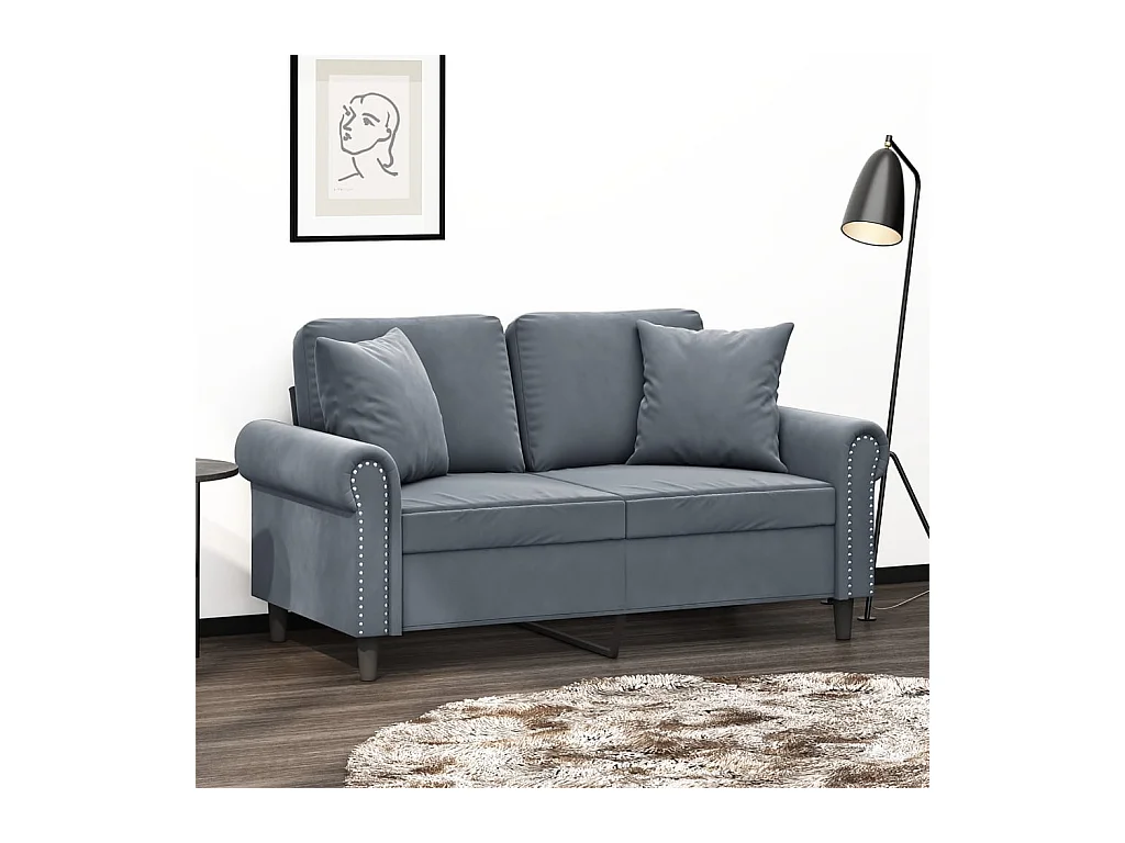 Sofá de 2 plazas con cojines gris oscuro de terciopelo de 120 cm