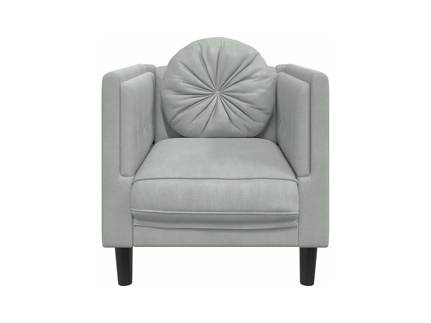 Fauteuil met lichtgrijs fluwelen kussen