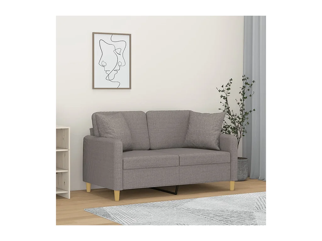 Sofá de 2 plazas con cojines gris claro de tela de 120 cm