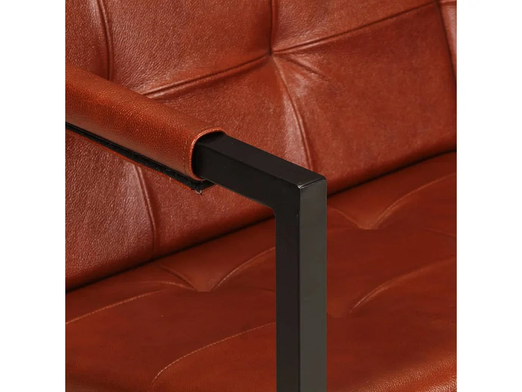 2-zitsbank Bruin Echt geitenleer