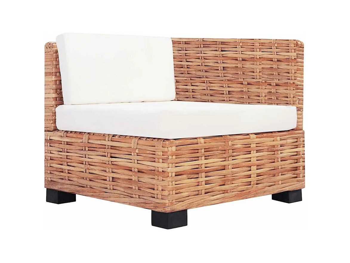 Set di divani da 14 pezzi in rattan naturale