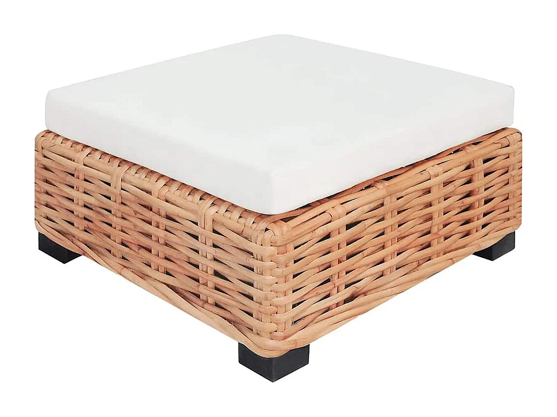 Set di divani da 14 pezzi in rattan naturale