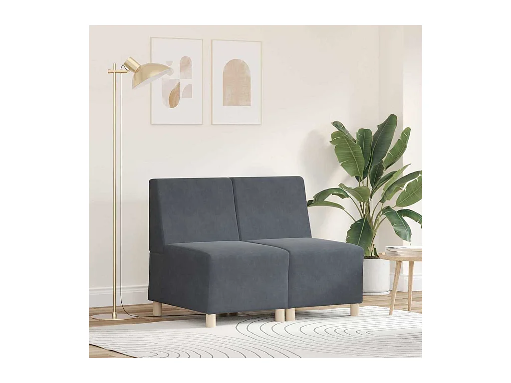 Unité de Sofa Modulaire Sans Accoudoirs 2 pcs Gris foncé