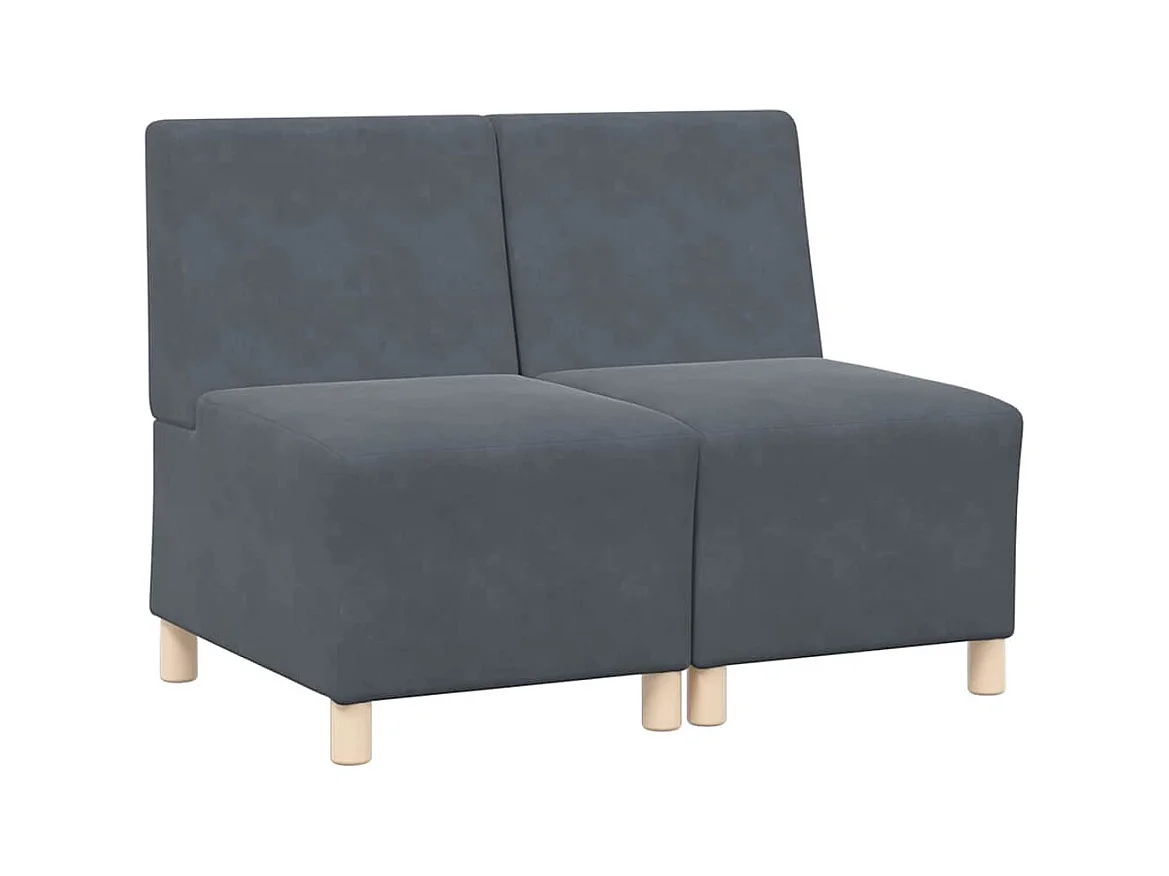 Unité de Sofa Modulaire Sans Accoudoirs 2 pcs Gris foncé