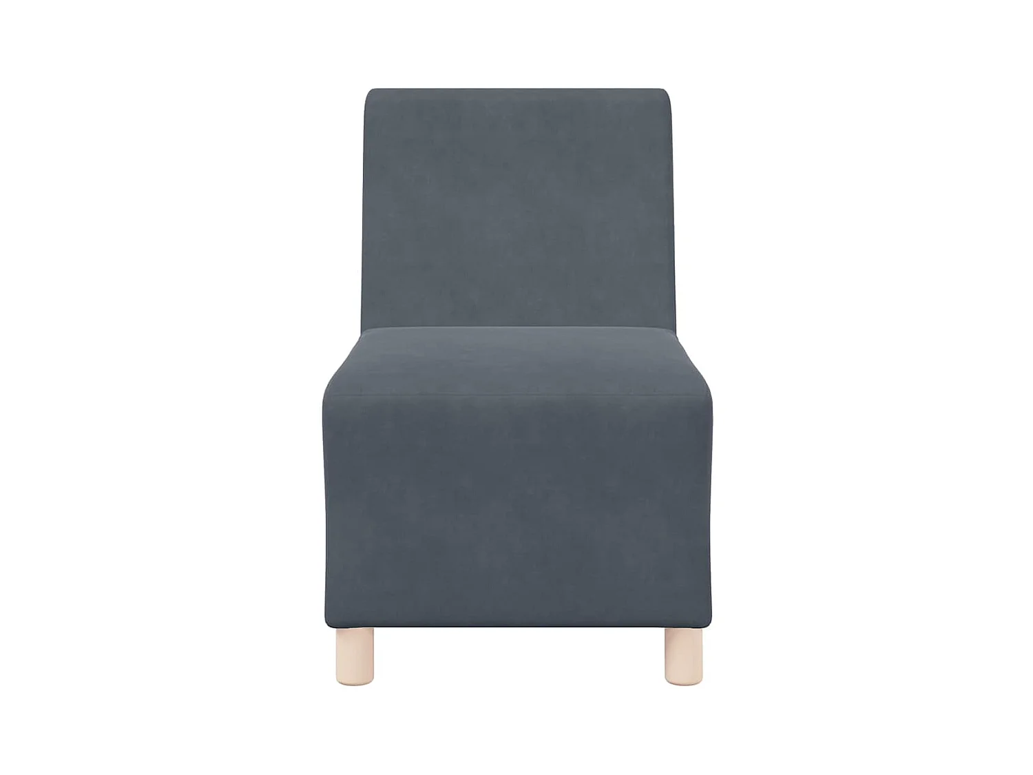 Unité de Sofa Modulaire Sans Accoudoirs 2 pcs Gris foncé