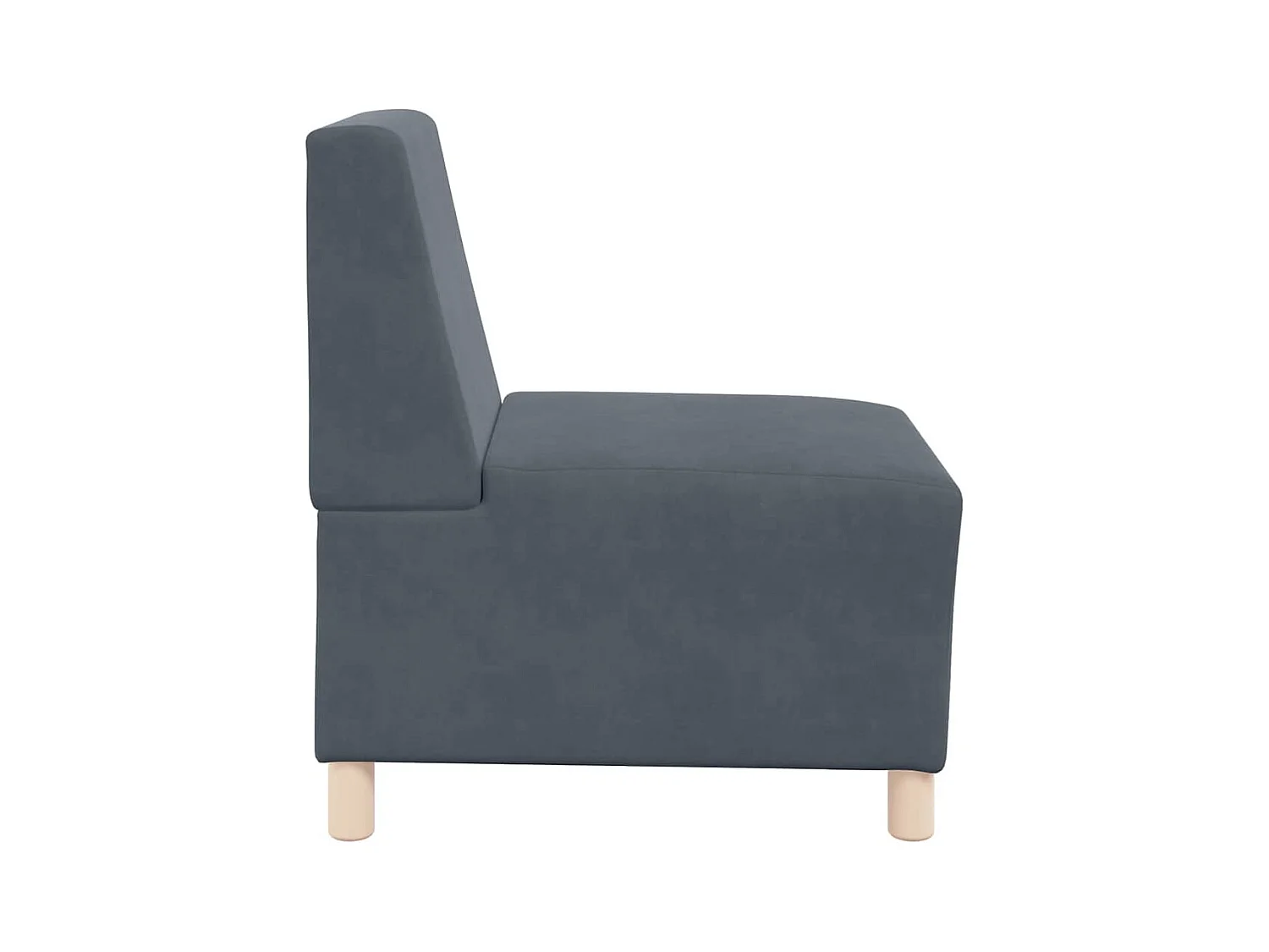 Unité de Sofa Modulaire Sans Accoudoirs 2 pcs Gris foncé