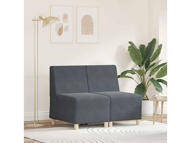 Unité de Sofa Modulaire Sans Accoudoirs 2 pcs Gris foncé