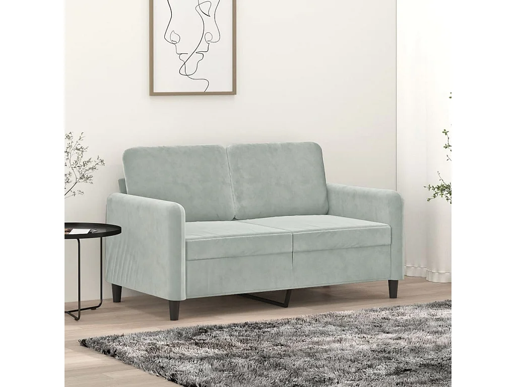 Sofá 2 plazas Gris claro 120 cm Terciopelo