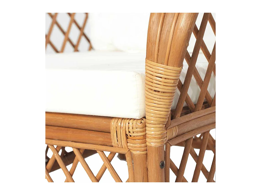 Bank met kussen Lichtbruin Natuurlijk rotan en linnen