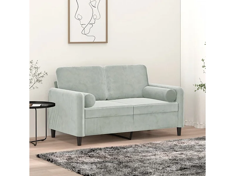 2-Sitzer-Sofa mit hellgrauen Kissen 120 cm Samt