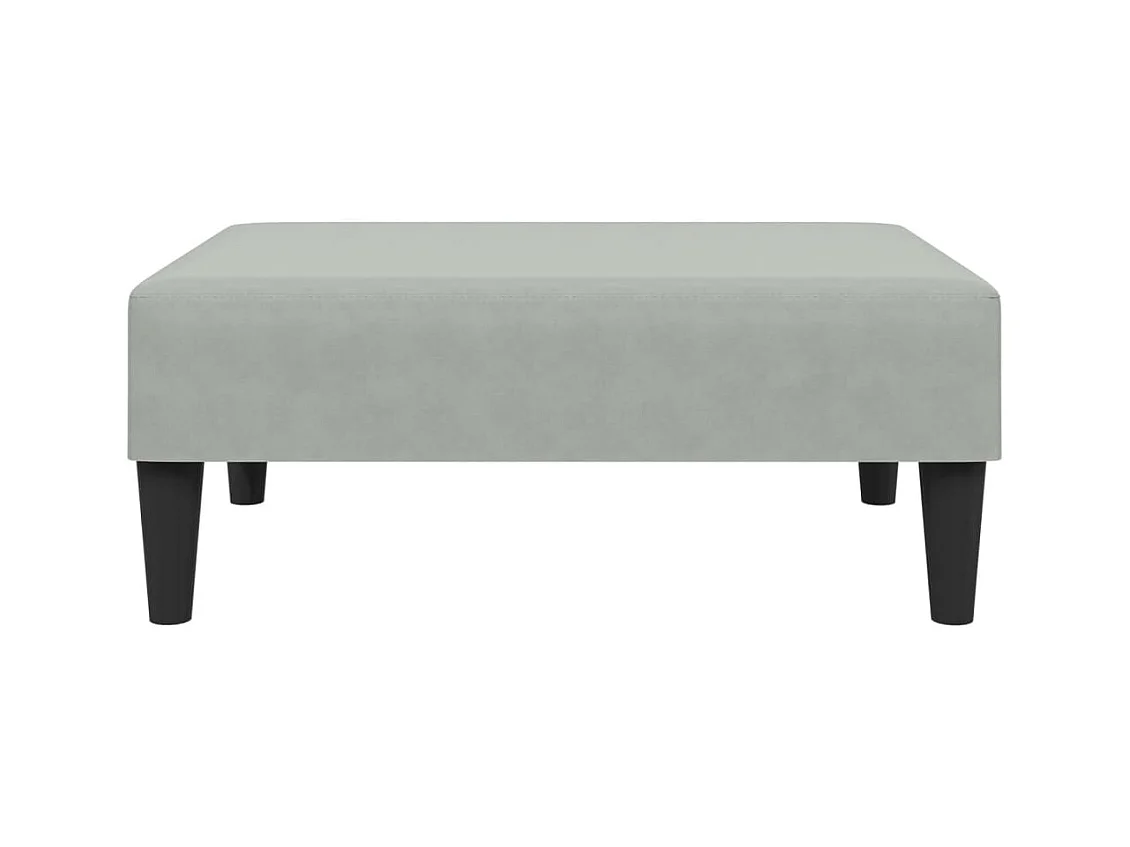 2-teiliges Sofaset aus hellgrauem Samt