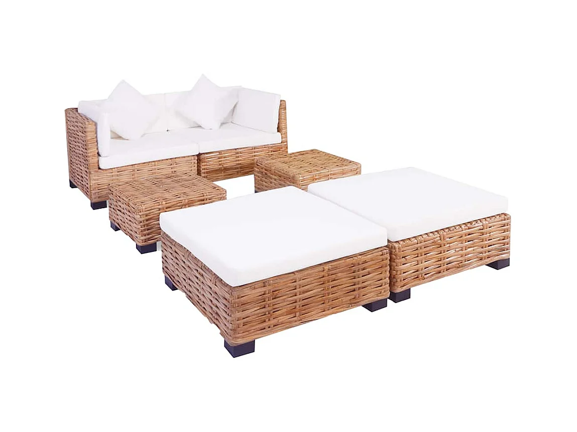 Set di divani da 16 pezzi in rattan naturale