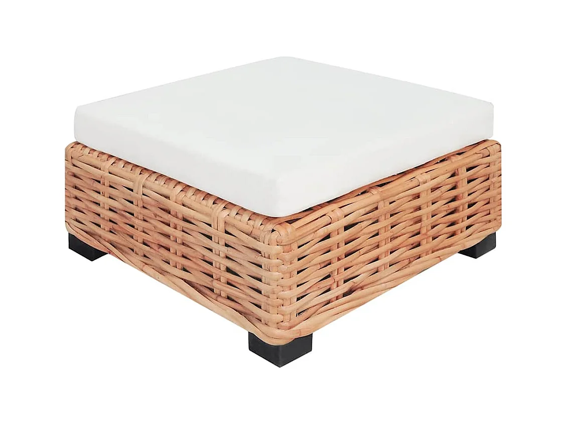 Set di divani da 16 pezzi in rattan naturale