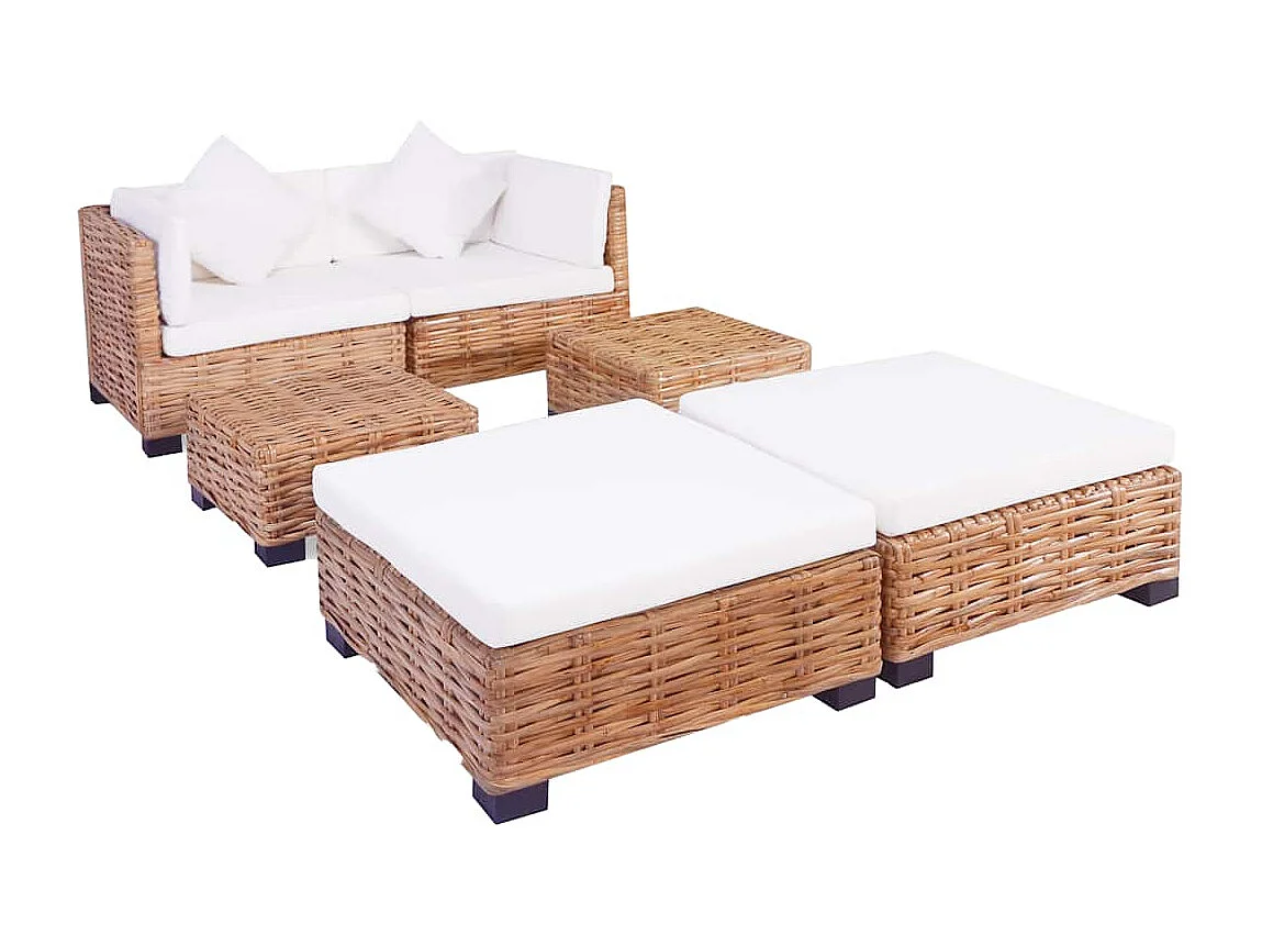 Set di divani da 16 pezzi in rattan naturale