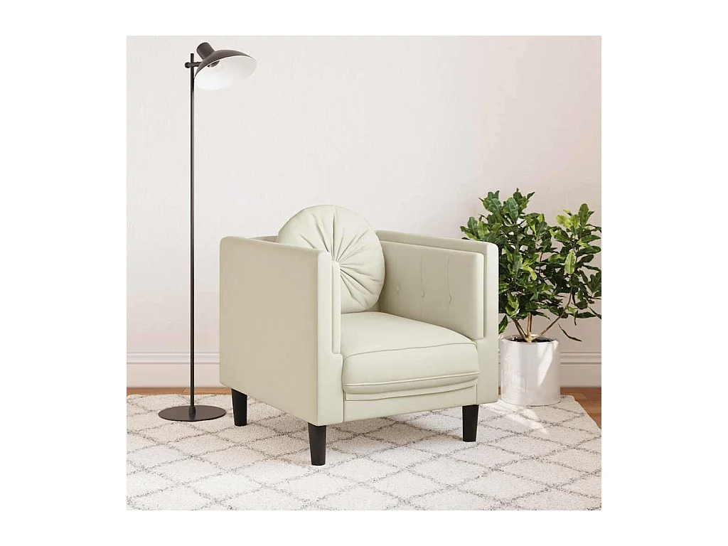 Fauteuil met crèmekleurig fluwelen kussen