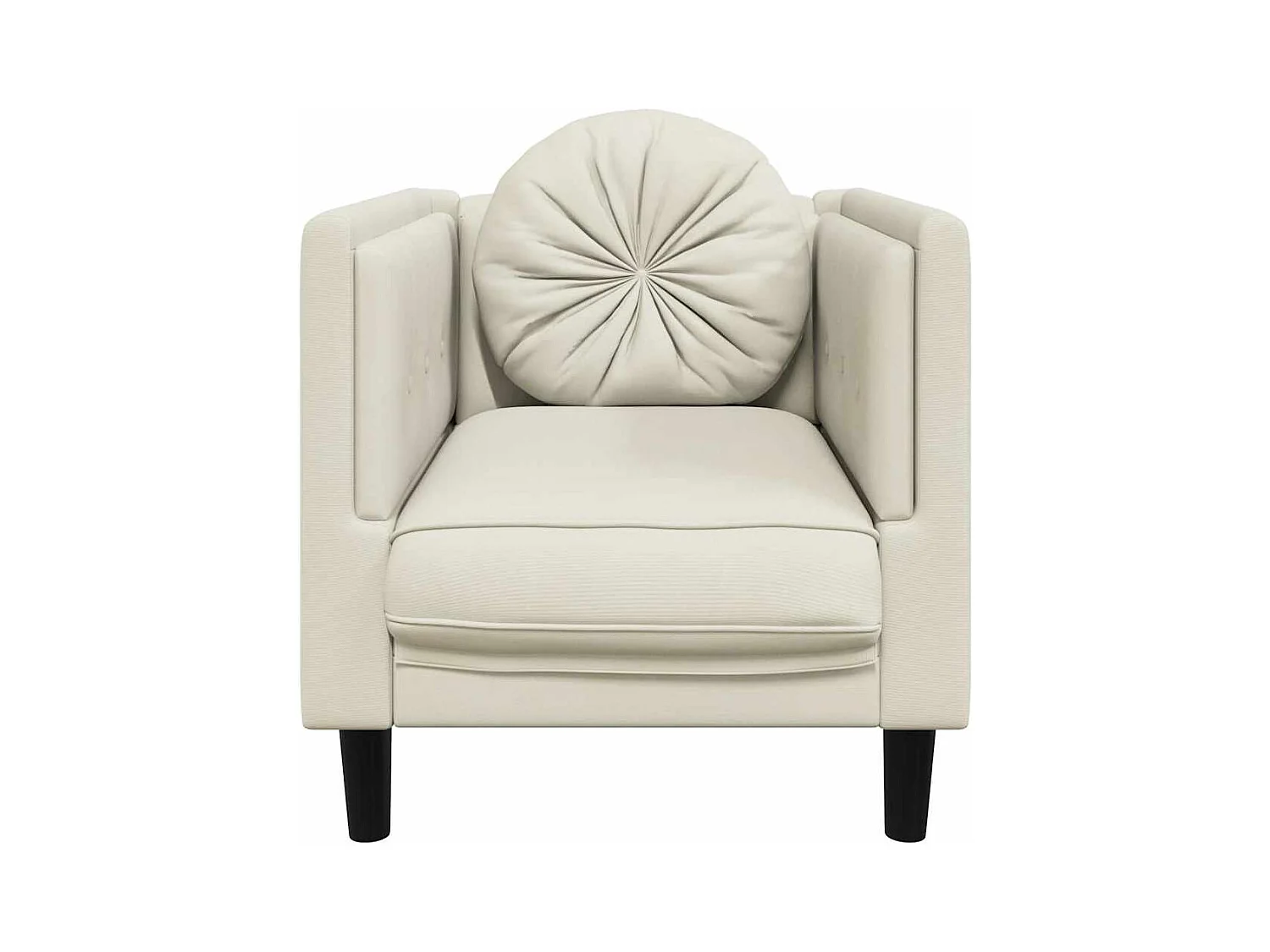 Fauteuil met crèmekleurig fluwelen kussen