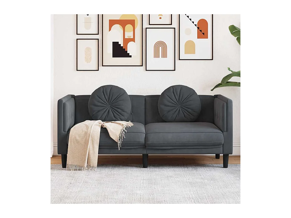 Donkergrijze fluwelen 2-zitsbank met kussens