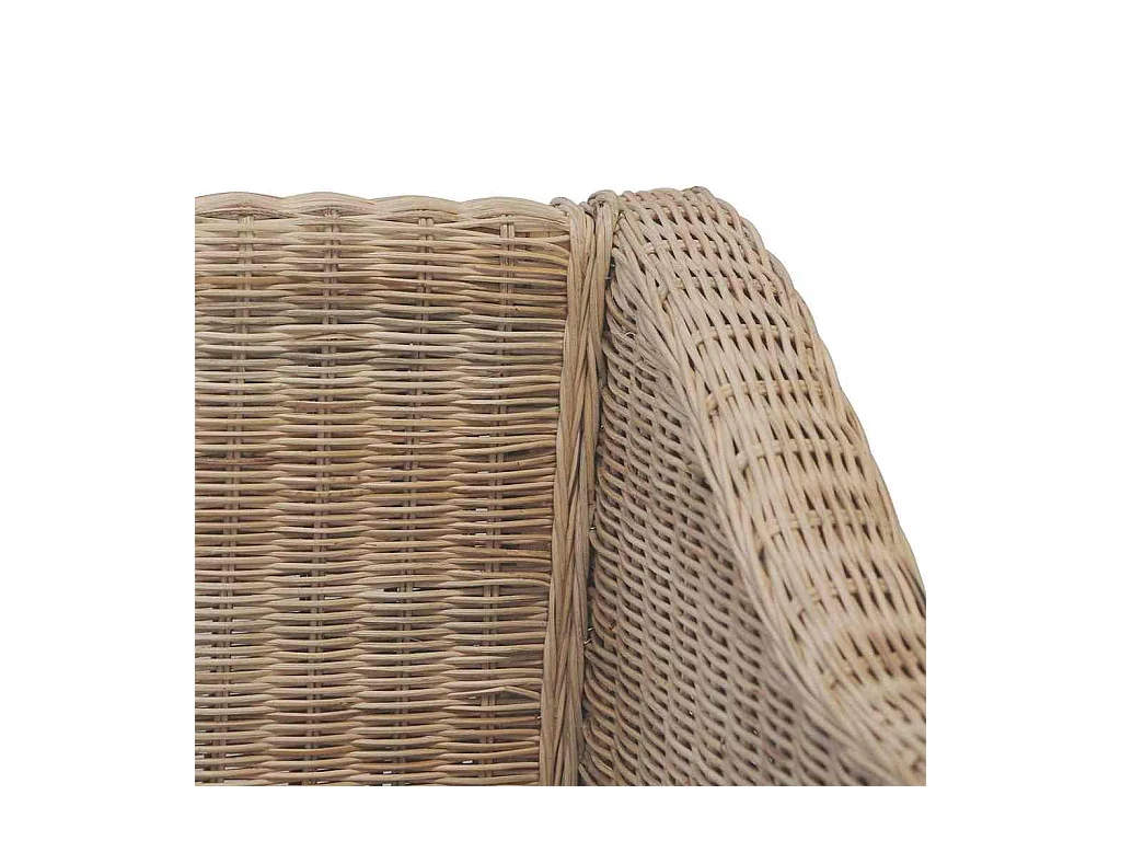 2-zitsbank met natuurlijke rotan kussens