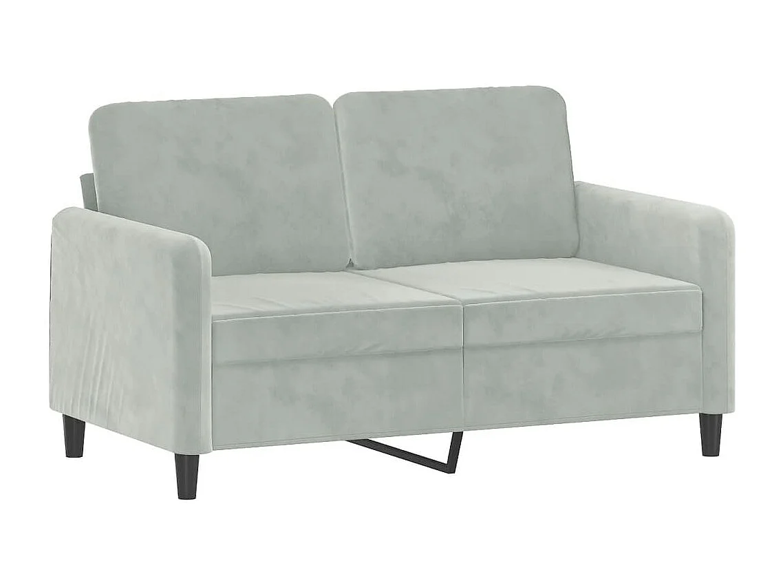 2-teiliges Sofaset mit hellgrauen Samtkissen