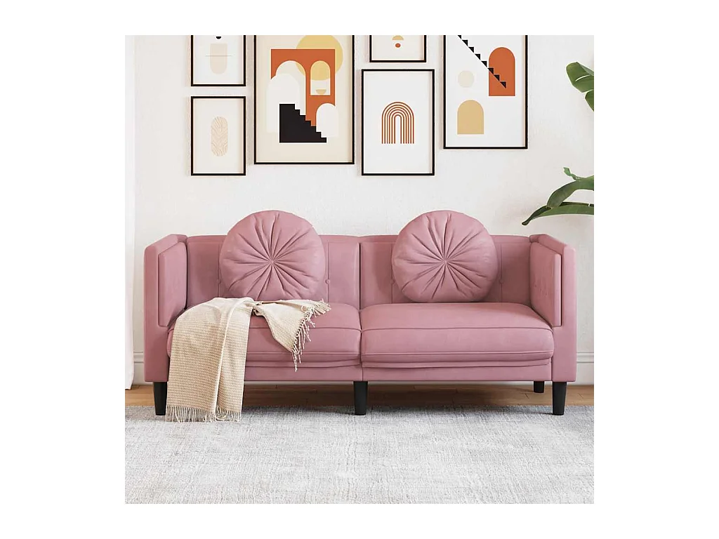 2-Sitzer-Sofa mit rosa Samtkissen